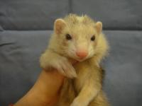 20120115ft-1.JPG