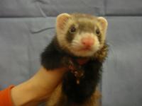 20120115ft-2.JPG