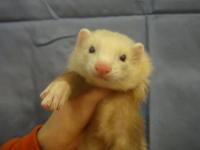 20120115ft-3.JPG