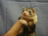 20120115ft-8.JPG