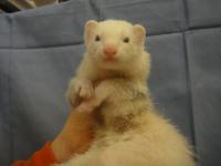 20120115ft-9.JPG