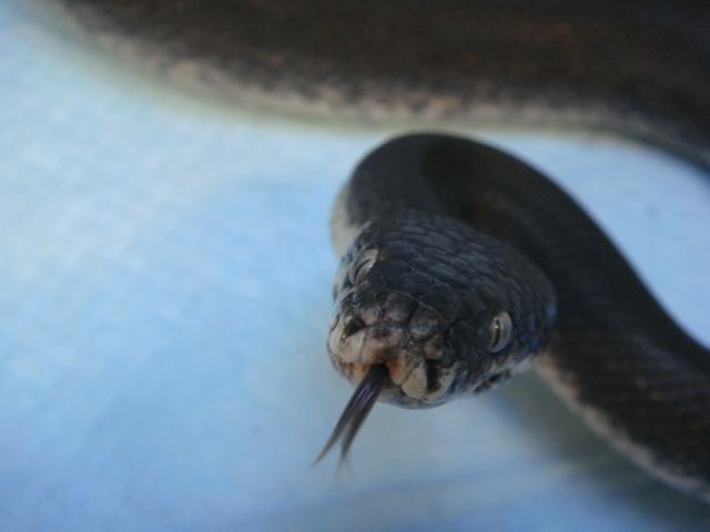 週末は浦和店へ Staff ブログ 熱帯倶楽部