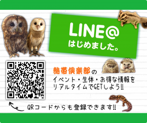 20150724LINE@