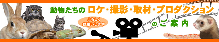 動物プロダクション
