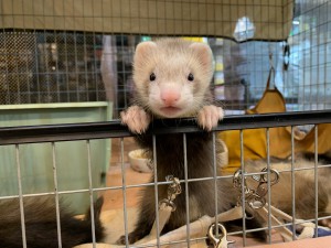 20190809FullSizeR (6)