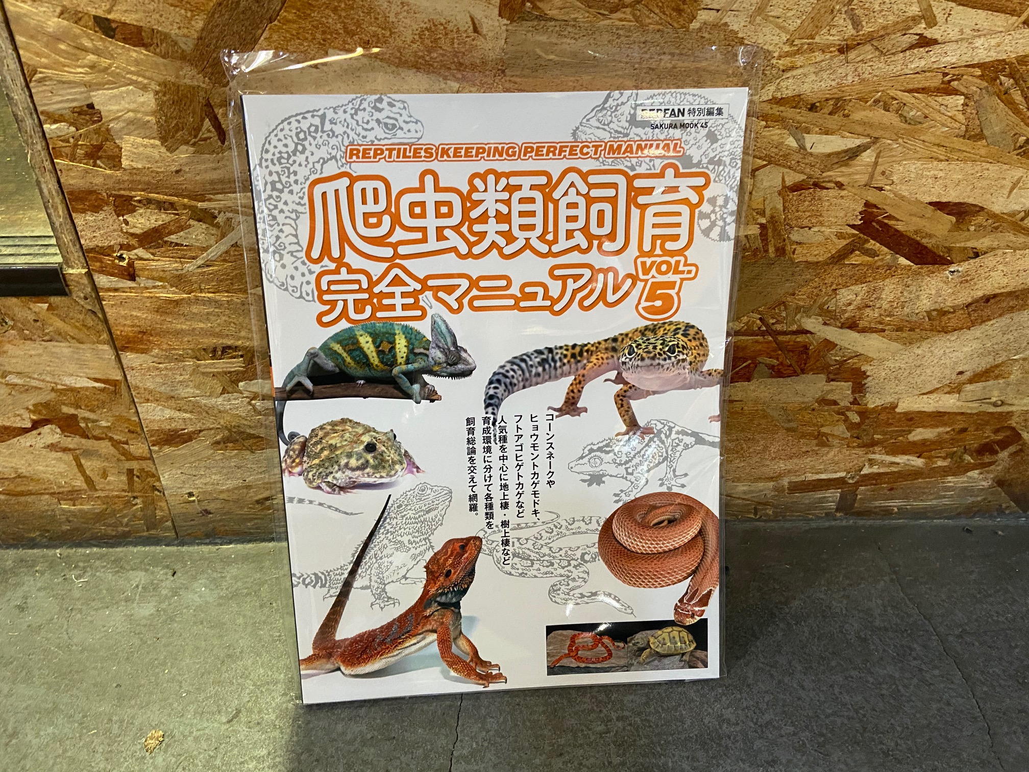 検索結果 爬虫 熱帯倶楽部 検索結果 爬虫 熱帯倶楽部