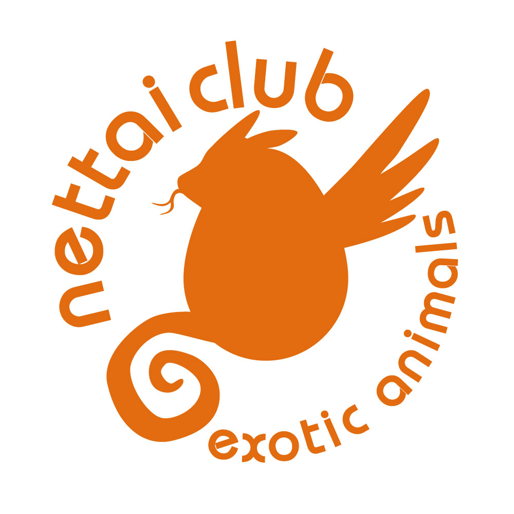 弊社オリジナルブランド ｌ ｉ ｐ より機能性が高いキャリーバッグプロジェクト展開中です 熱帯倶楽部