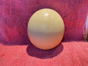210710T003