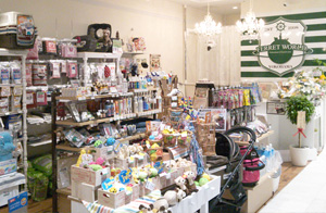 フェレットワールド みなとみらい店